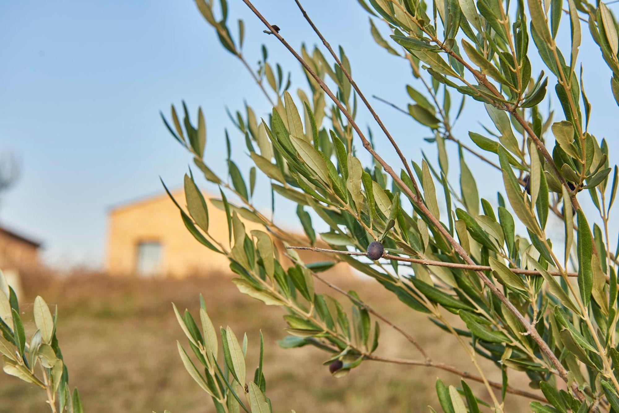 Agriturismo Prato Del Re Prignano sulla Secchia المظهر الخارجي الصورة
