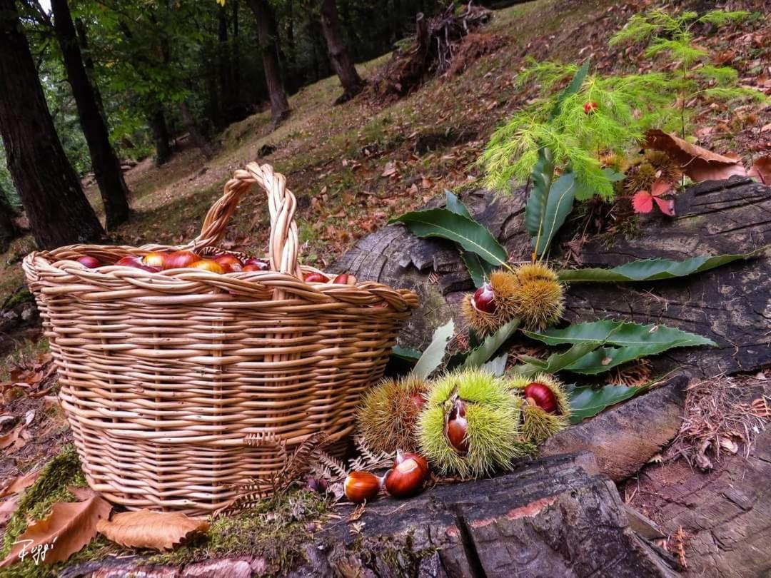 Agriturismo Prato Del Re Prignano sulla Secchia المظهر الخارجي الصورة