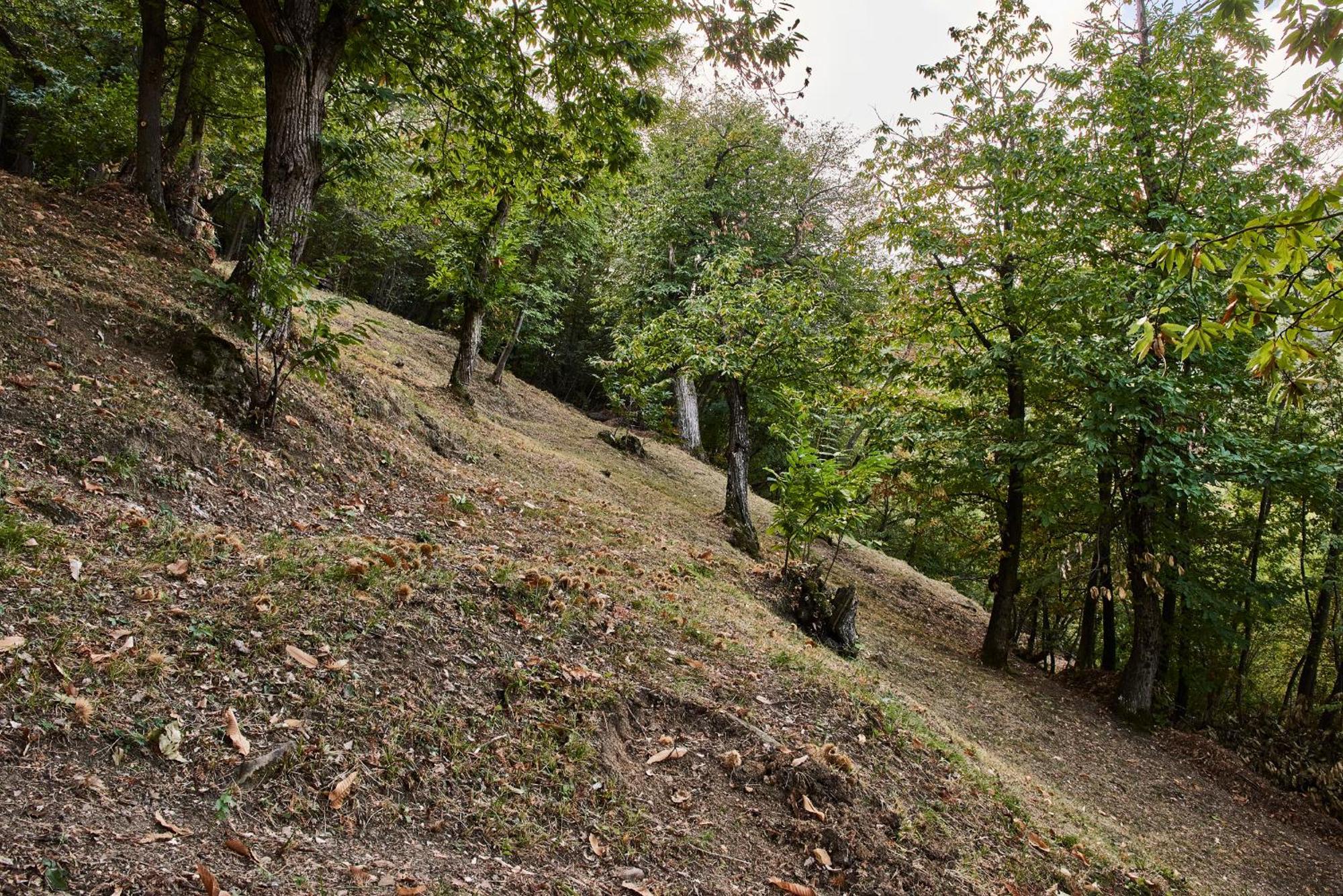 Agriturismo Prato Del Re Prignano sulla Secchia المظهر الخارجي الصورة
